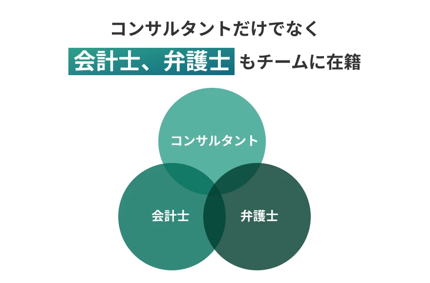 各分野のトッププロフェッショナルによる直接支援